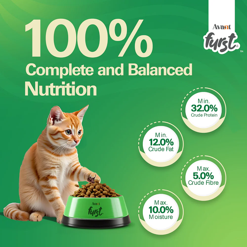 Avant Furst Tuna Fish Flavour Kitten Cat Dry Food - Image 7