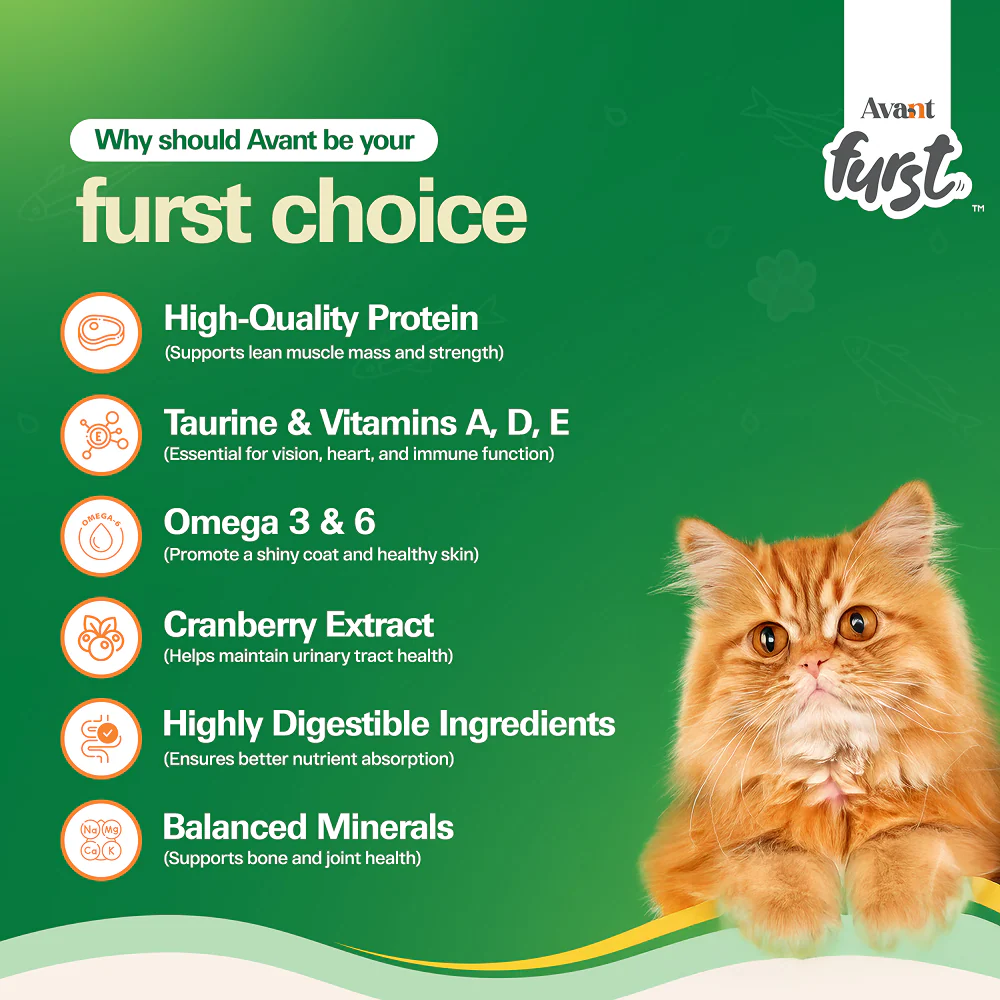 Avant Furst Ocean Fish Flavour Adult Cat Dry Food - Image 2