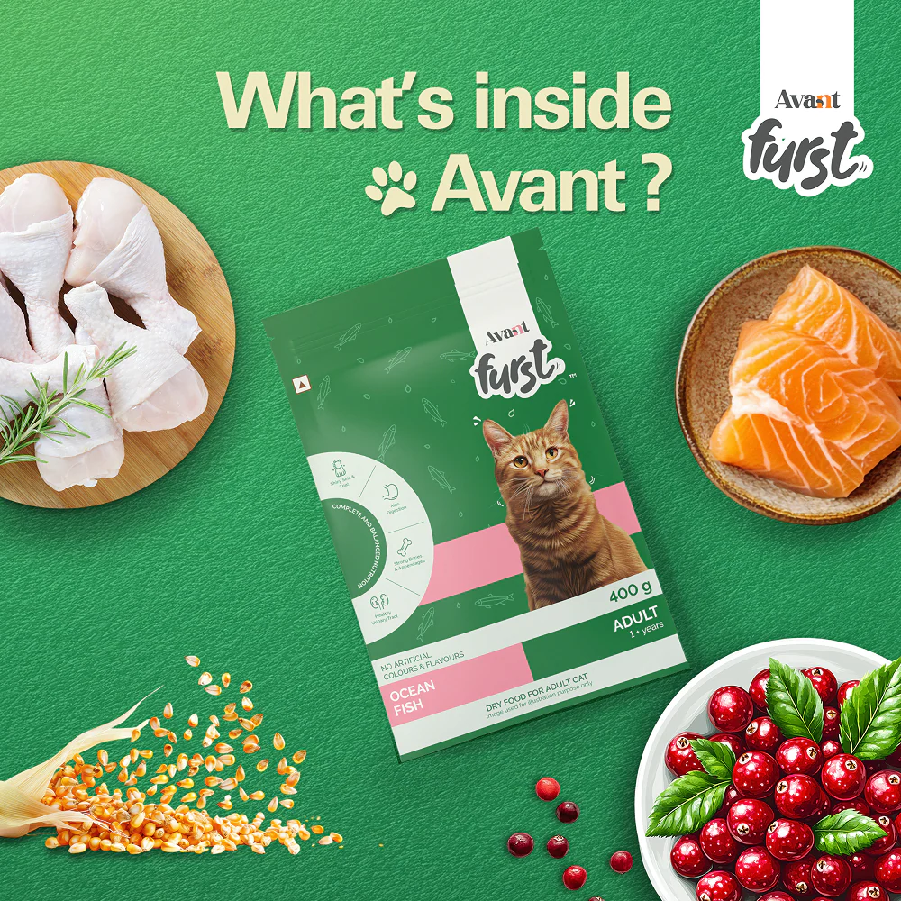Avant Furst Ocean Fish Flavour Adult Cat Dry Food - Image 5