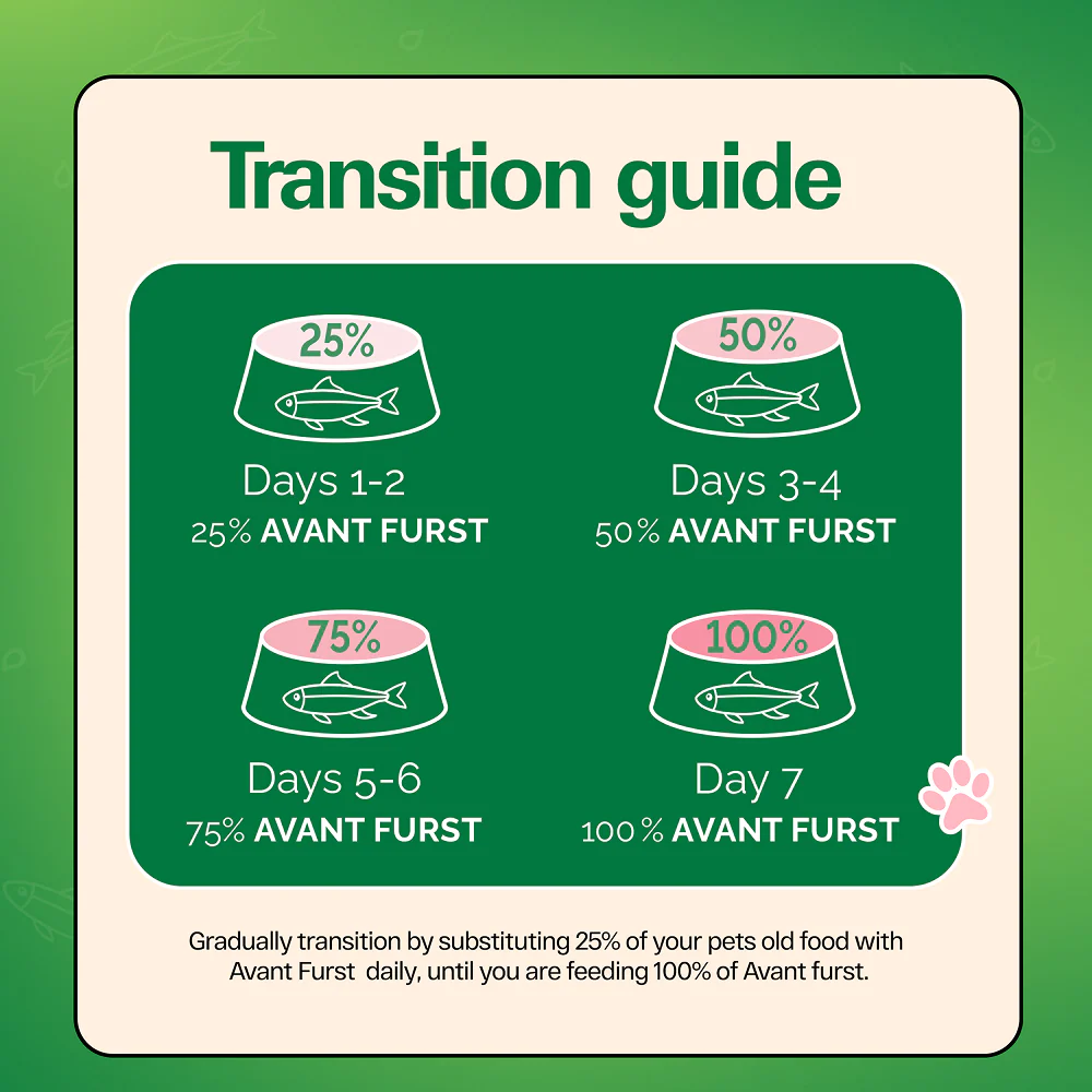 Avant Furst Ocean Fish Flavour Adult Cat Dry Food - Image 8