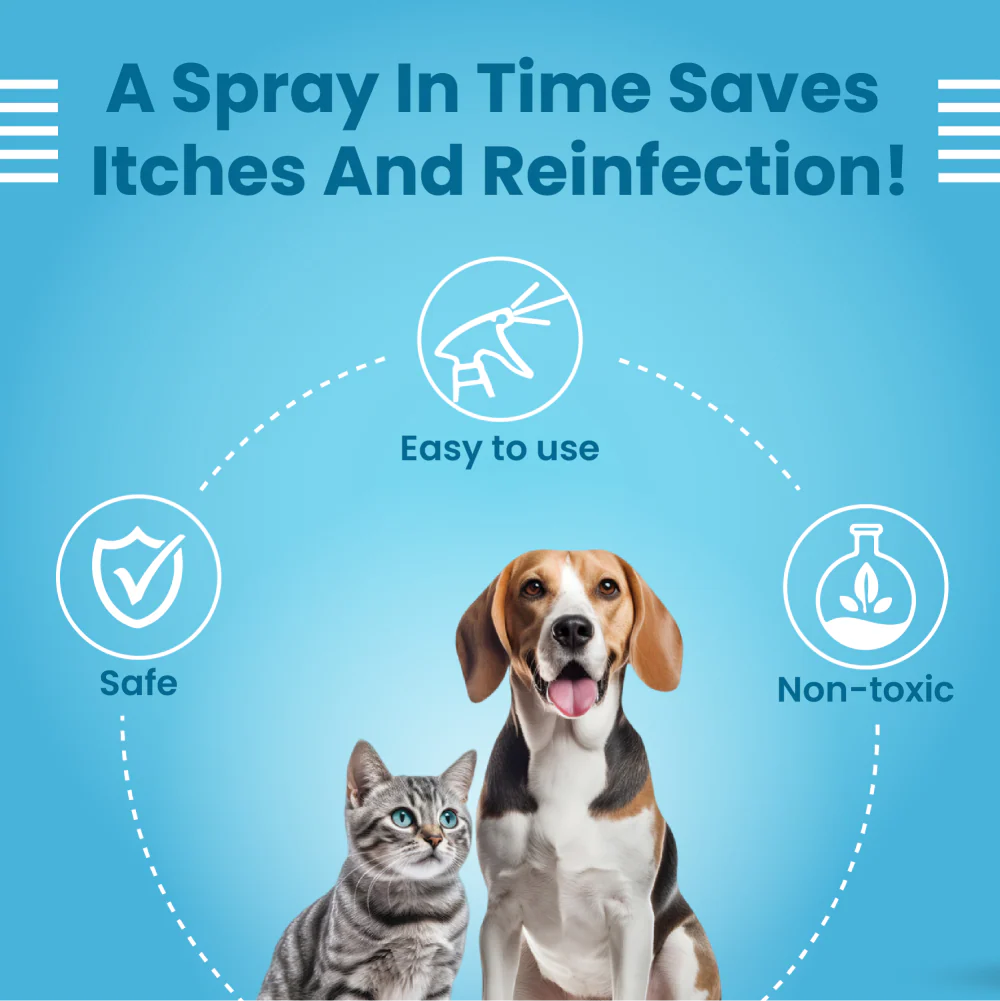 Bark Out Loud Allergy and Itch Relief Shampoo and Anti Microbial Skin Spray for Dogs and Cats Combo - Image 10