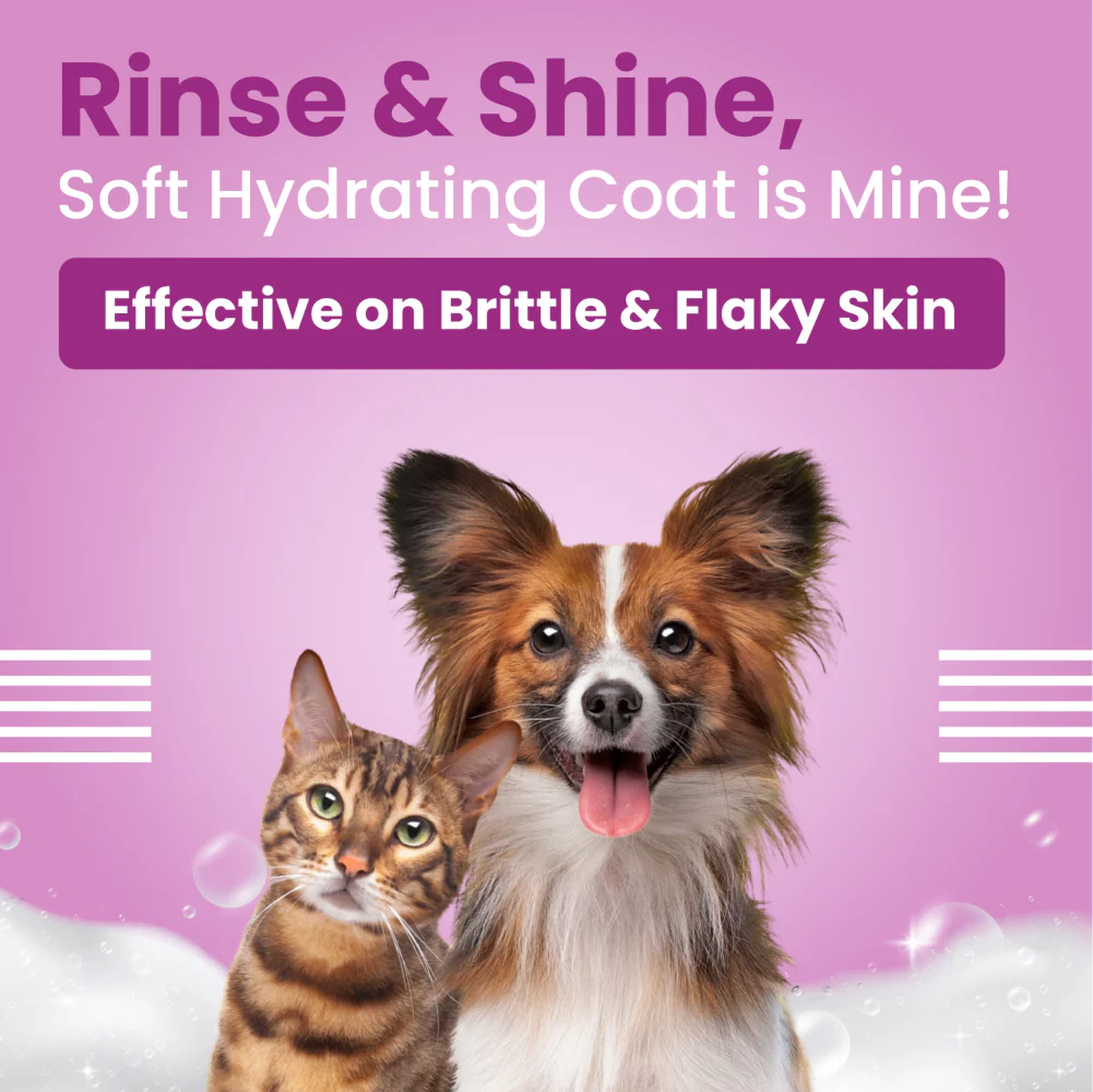 Bark Out Loud Allergy and Itch Relief Shampoo for Dogs and Cats - Image 3