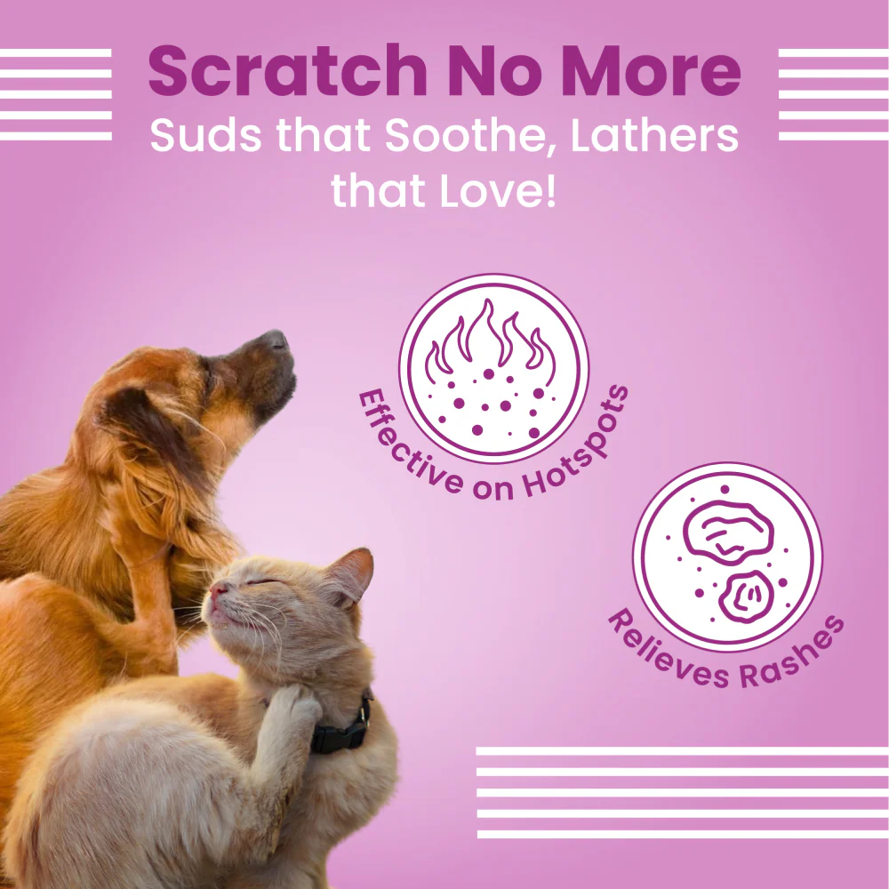 Bark Out Loud Allergy and Itch Relief Shampoo for Dogs and Cats - Image 5