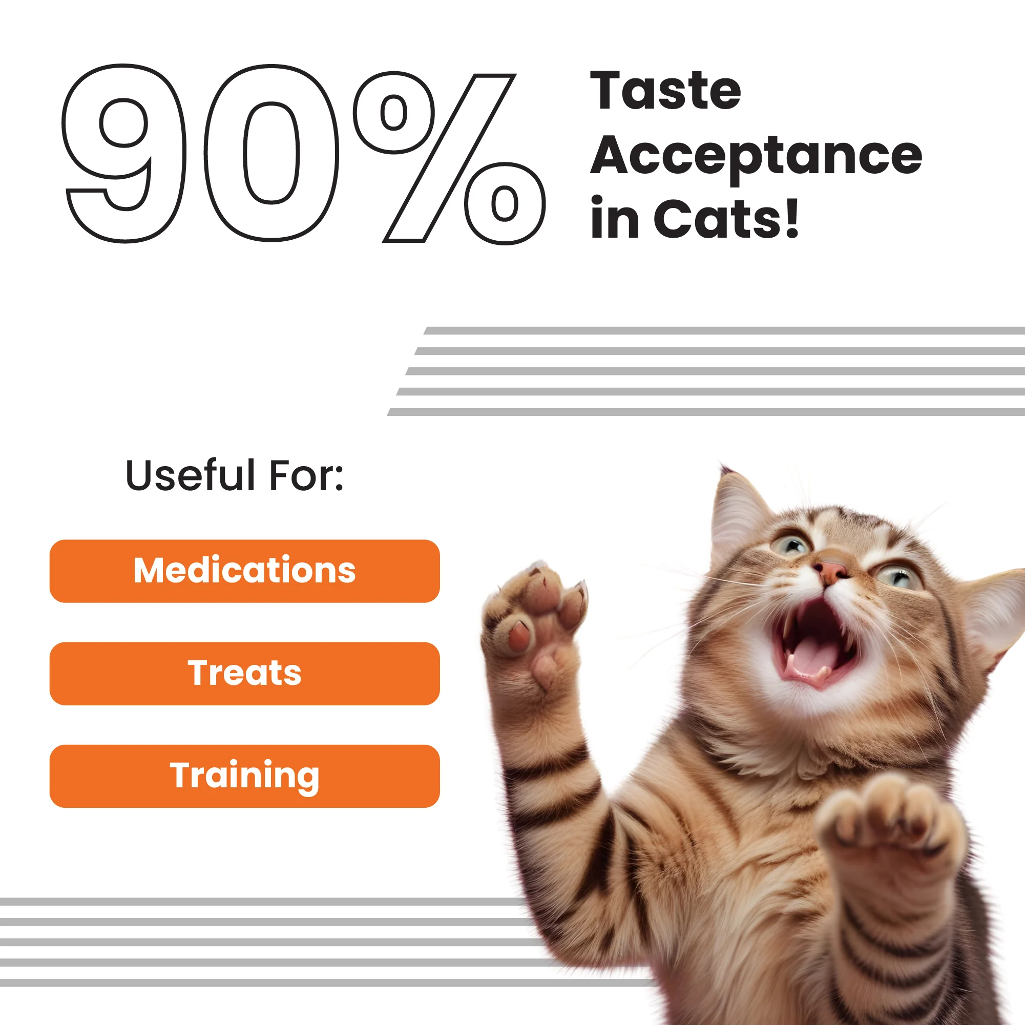 Bark Out Loud Anti Anxiety Easy Pill for Cats - Image 3