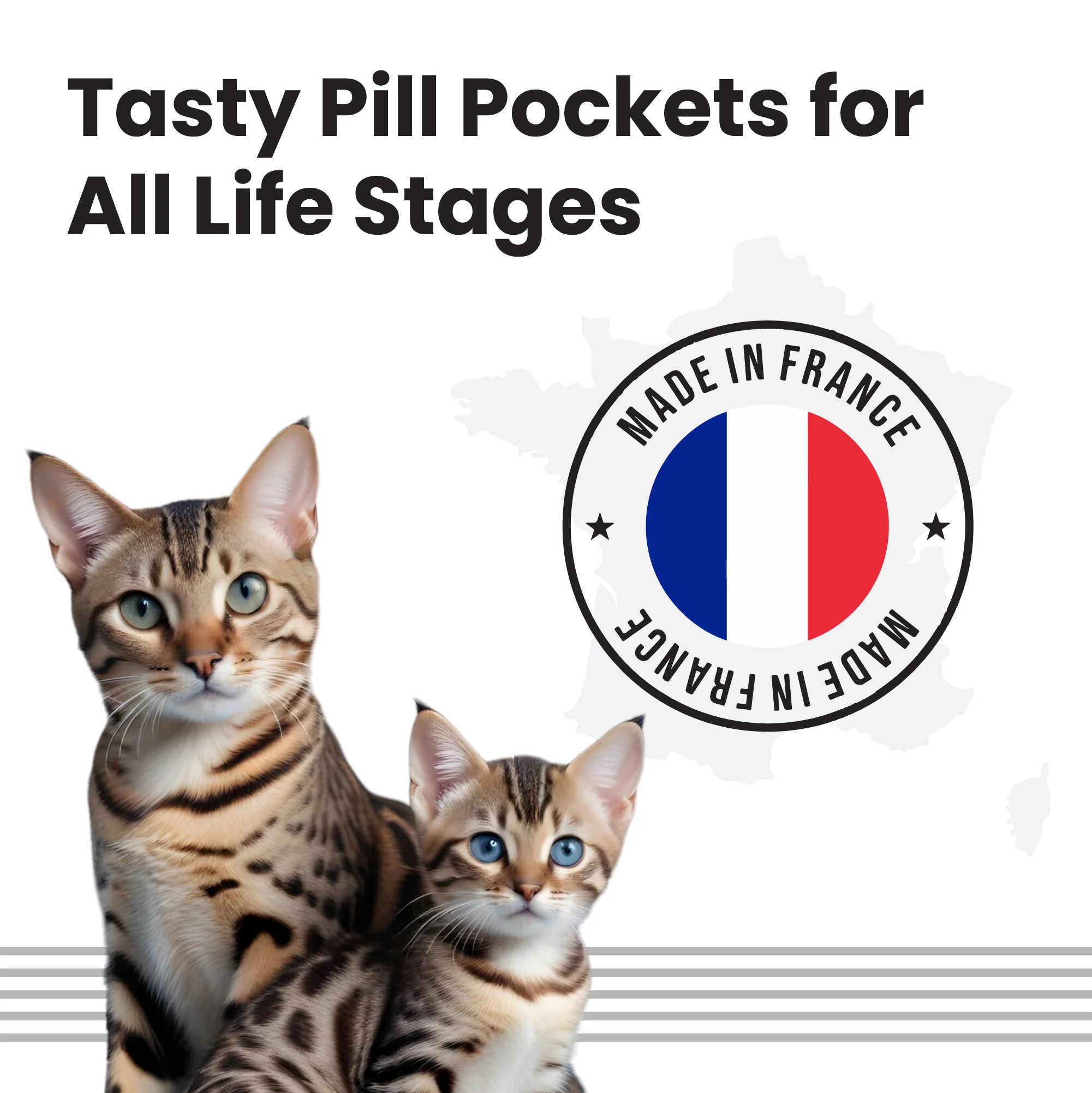 Bark Out Loud Anti Anxiety Easy Pill for Cats - Image 6