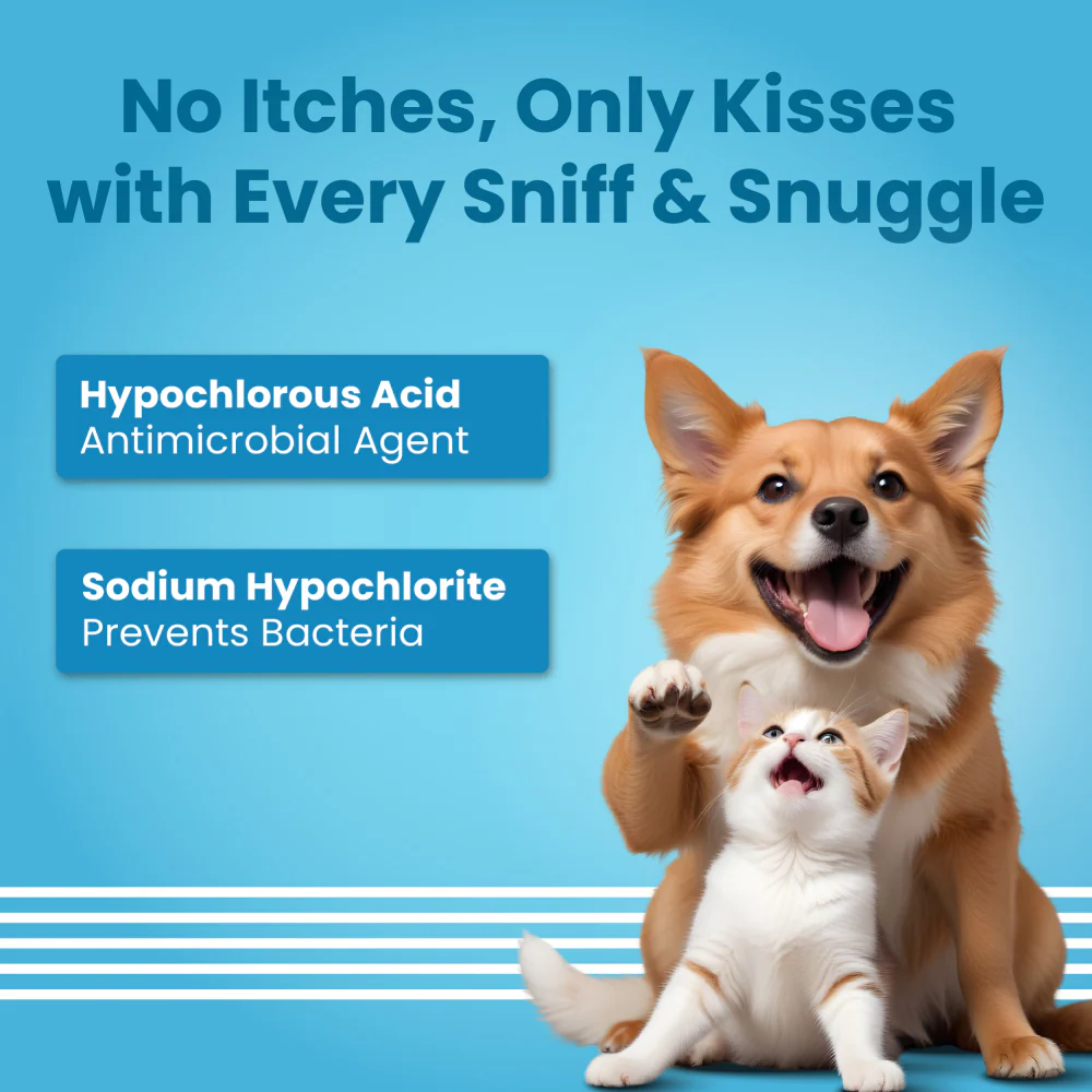 Bark Out Loud Anti Microbial Skin Spray for Dogs and Cats - Image 6
