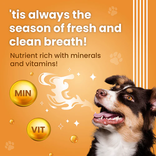 Bark Out Loud by Vivaldis Dental Sticks Dog Treats - Image 3
