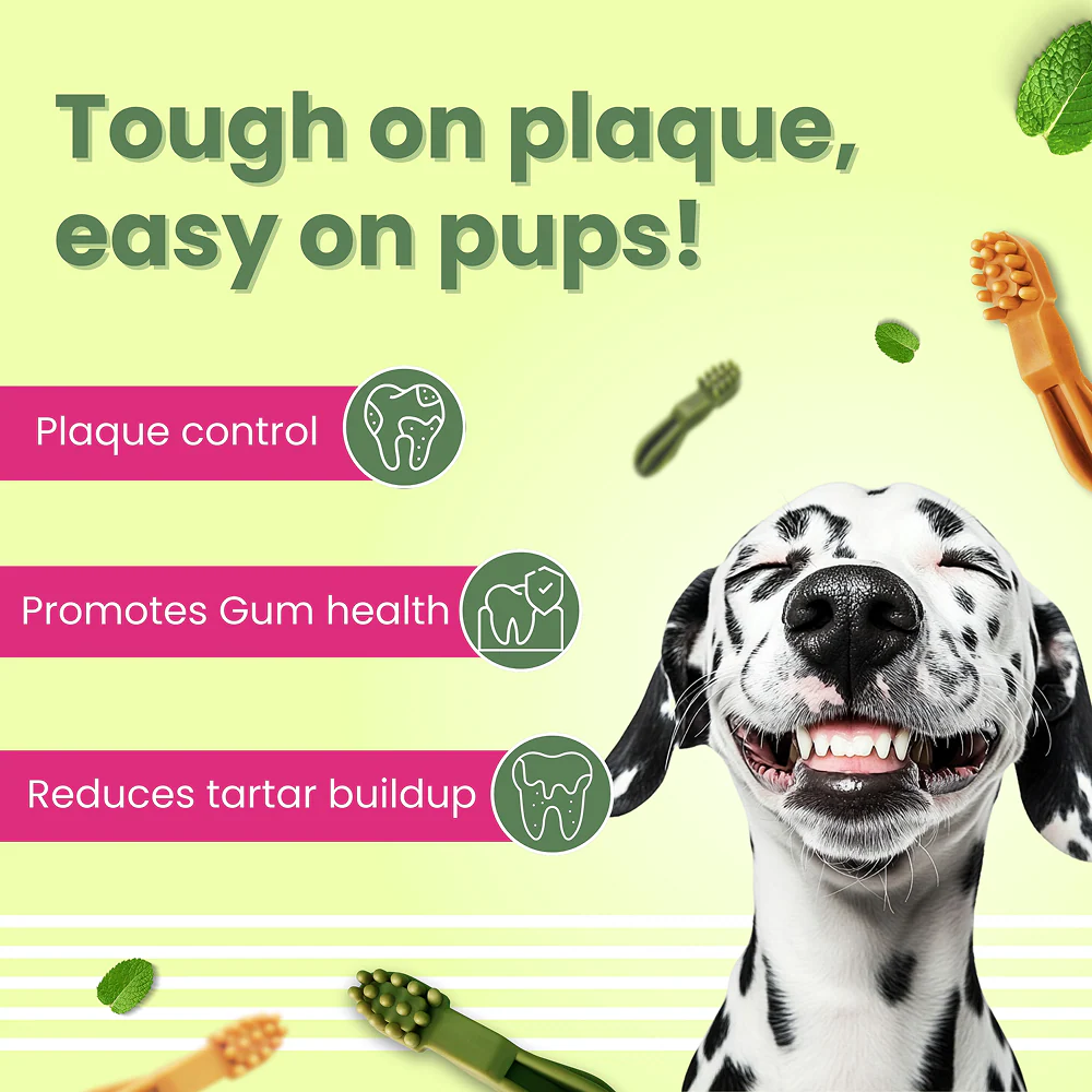 Bark Out Loud by Vivaldis Grain Free Chicken Dental Chews Dog Treats - Image 3