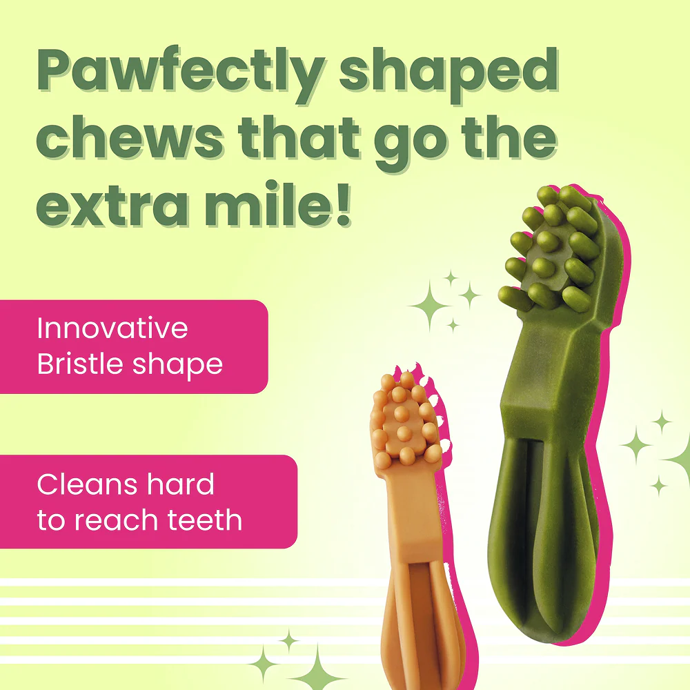 Bark Out Loud by Vivaldis Grain Free Chicken Dental Chews Dog Treats - Image 4