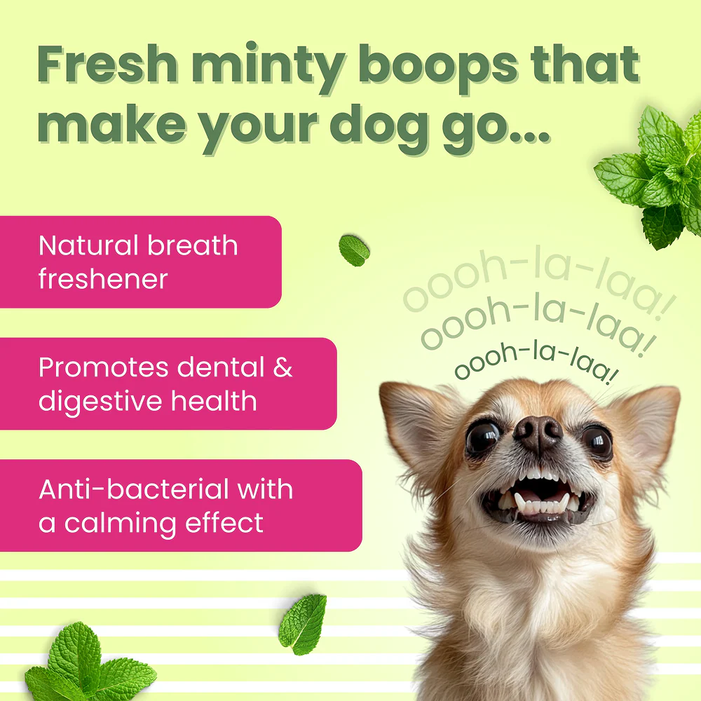 Bark Out Loud by Vivaldis Grain Free Chicken Dental Chews Dog Treats - Image 6