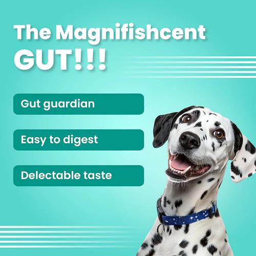Bark Out Loud by Vivaldis Mini Fishes Grain Free & Hypoallergenic Dog Treats - Image 3