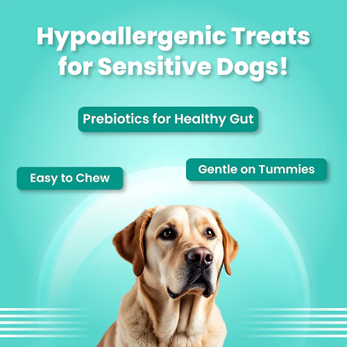 Bark Out Loud by Vivaldis Mini Fishes Grain Free & Hypoallergenic Dog Treats - Image 4
