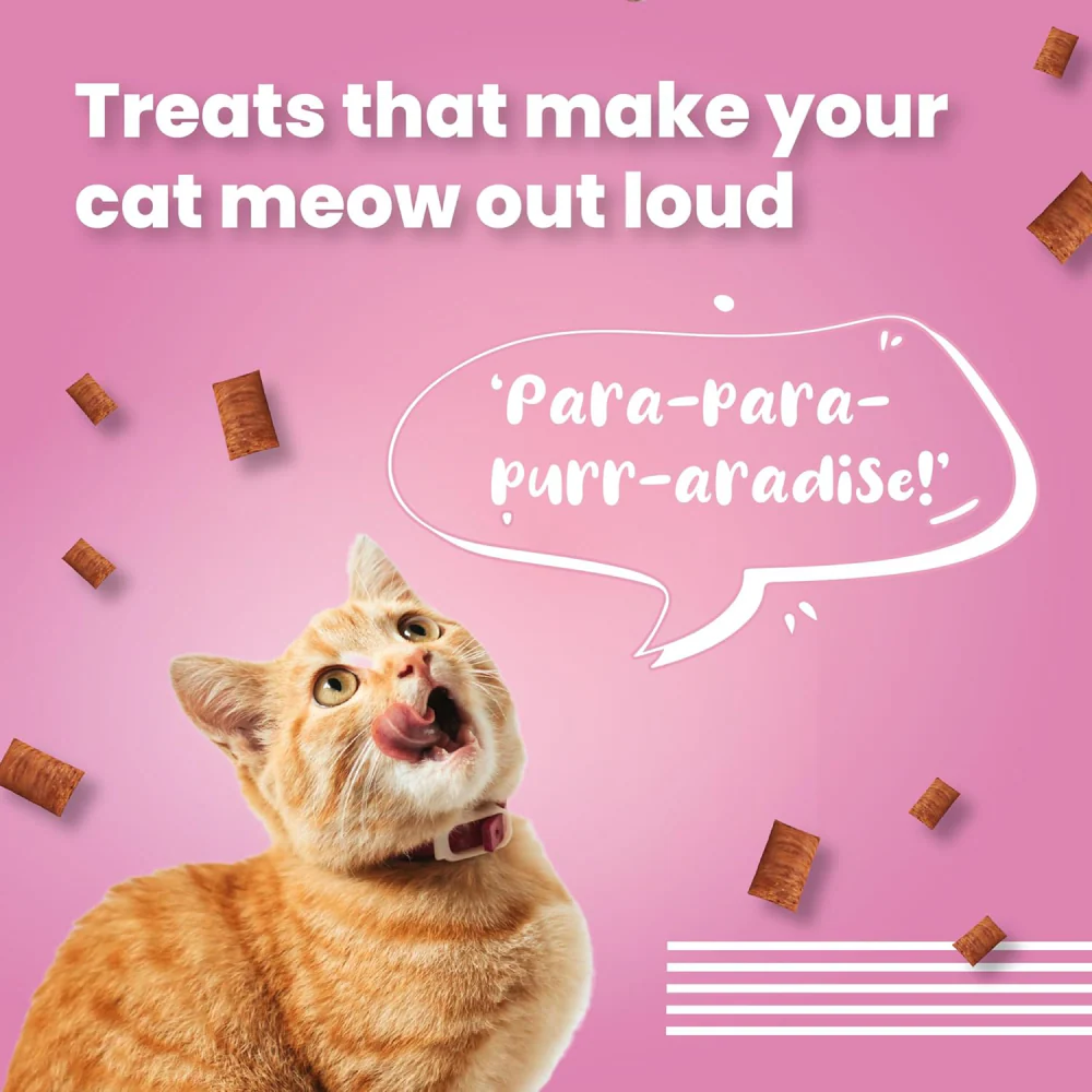 Bark Out Loud by Vivaldis Pillows for Sensitive Gut & Hairball Control Cat Treats Combo - Image 7