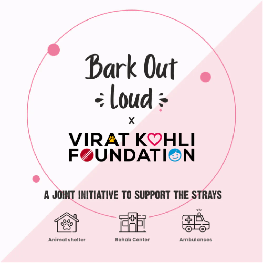 Bark Out Loud by Vivaldis Pillows for Sensitive Gut & Hairball Control Cat Treats Combo - Image 8