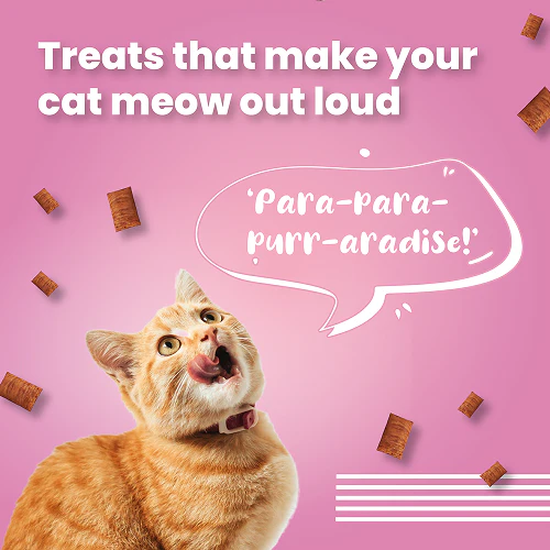 Bark Out Loud by Vivaldis Pillows for Sensitive Gut Cat Treats - Image 5