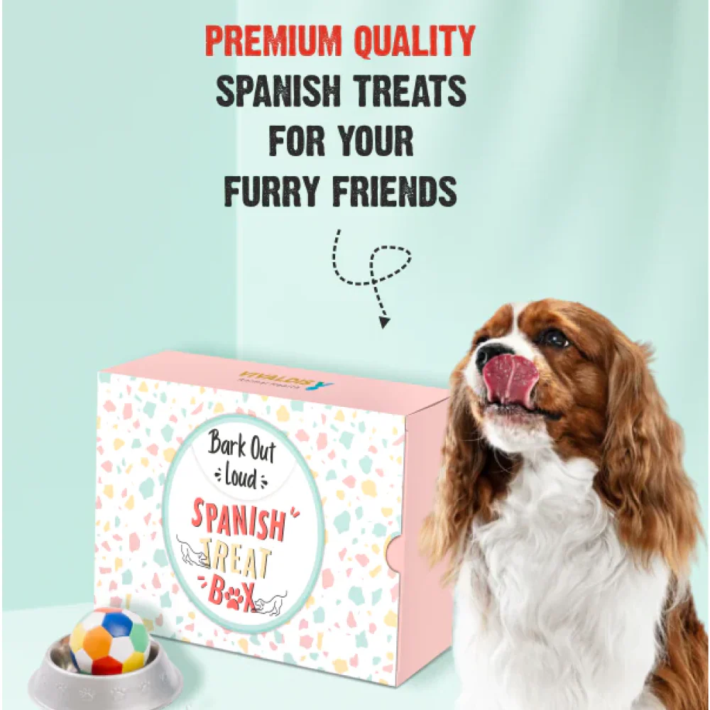 Bark Out Loud by Vivaldis Prefect Gifting Spanish Treat Box for Dogs - Image 2