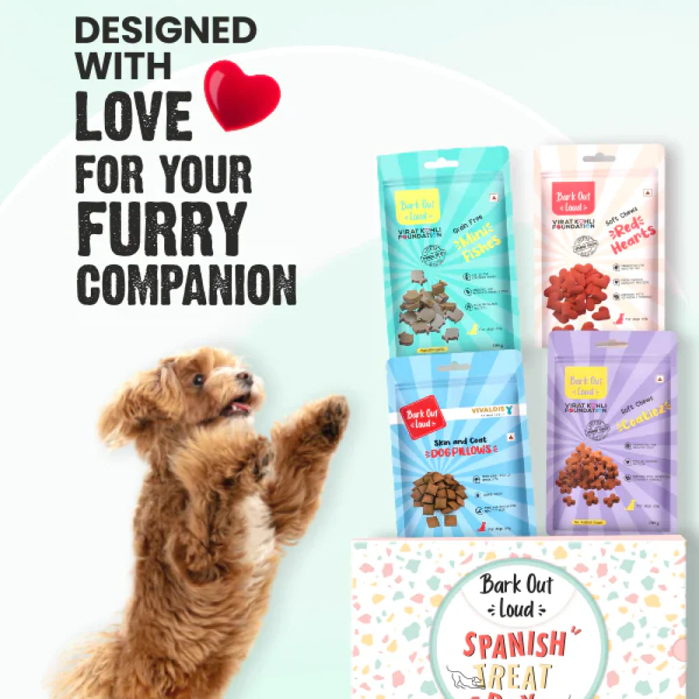 Bark Out Loud by Vivaldis Prefect Gifting Spanish Treat Box for Dogs - Image 6