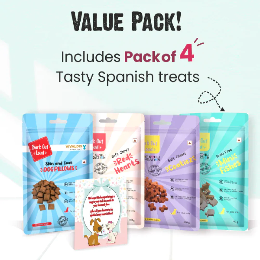 Bark Out Loud by Vivaldis Prefect Gifting Spanish Treat Box for Dogs - Image 7