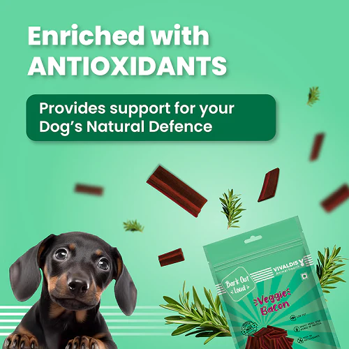 Bark Out Loud by Vivalidis Veggie Bacon Vegan Spanish Dog Treats - Image 4