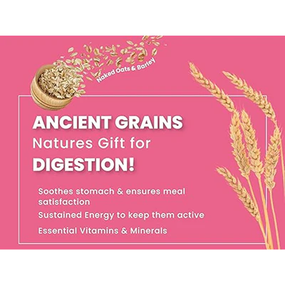Bark Out Loud Chicken & Ancient Grains Adult Dog Dry Food - Image 6