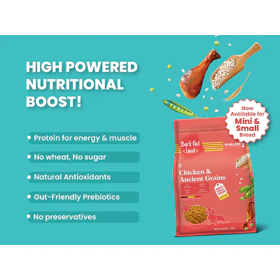 Bark Out Loud Chicken & Ancient Grains Mini and Small Breed Adult Dog Dry Food - Image 3