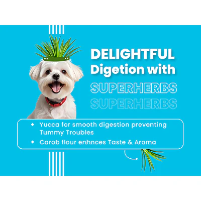 Bark Out Loud Chicken & Ancient Grains Mini and Small Breed Adult Dog Dry Food - Image 6