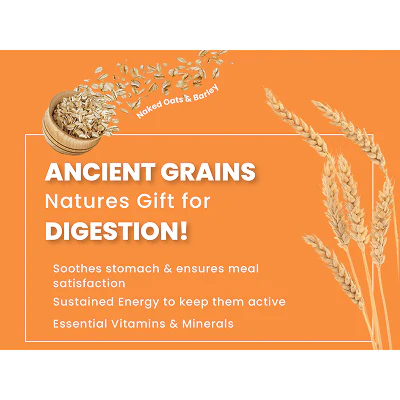 Bark Out Loud Chicken & Ancient Grains Mini and Small Breed Adult Dog Dry Food - Image 7