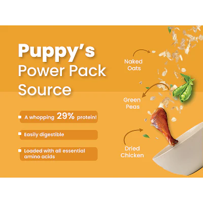 Bark Out Loud Chicken & Ancient Grains Puppy Dry Food - Image 3
