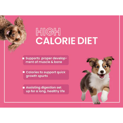 Bark Out Loud Chicken & Ancient Grains Puppy Dry Food - Image 7
