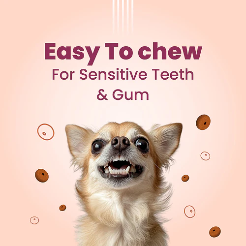 Bark Out Loud Chicken Rings Soft Chews Dog Treats - Image 6