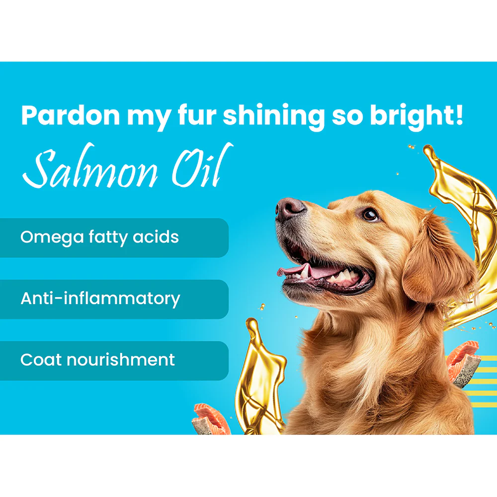 Bark Out Loud Chicken & Tuna Chunks Gravy Adult Dog Wet Food - Image 2
