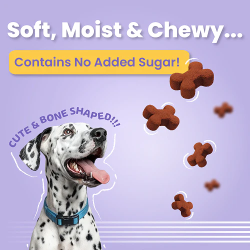 Bark Out Loud Coatiez Soft Chews Dog Treats - Image 3