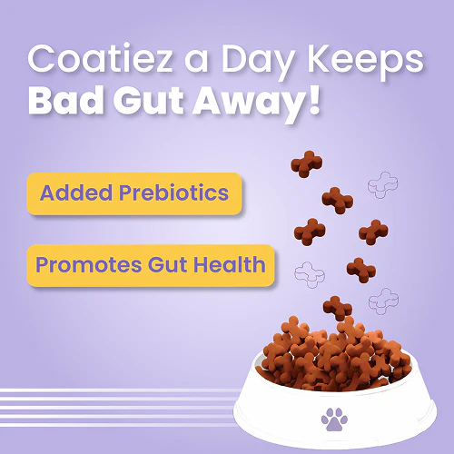 Bark Out Loud Coatiez Soft Chews Dog Treats - Image 5