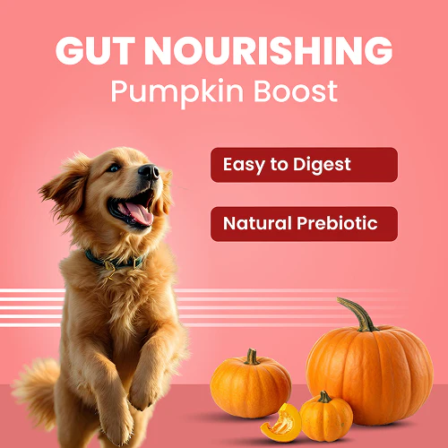 Bark Out Loud Collagen Protein Bar Chicken & Fish Treat for Dogs - Image 4