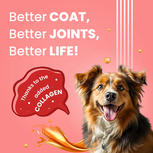 Bark Out Loud Collagen Protein Bar Chicken & Fish Treat for Dogs - Image 6