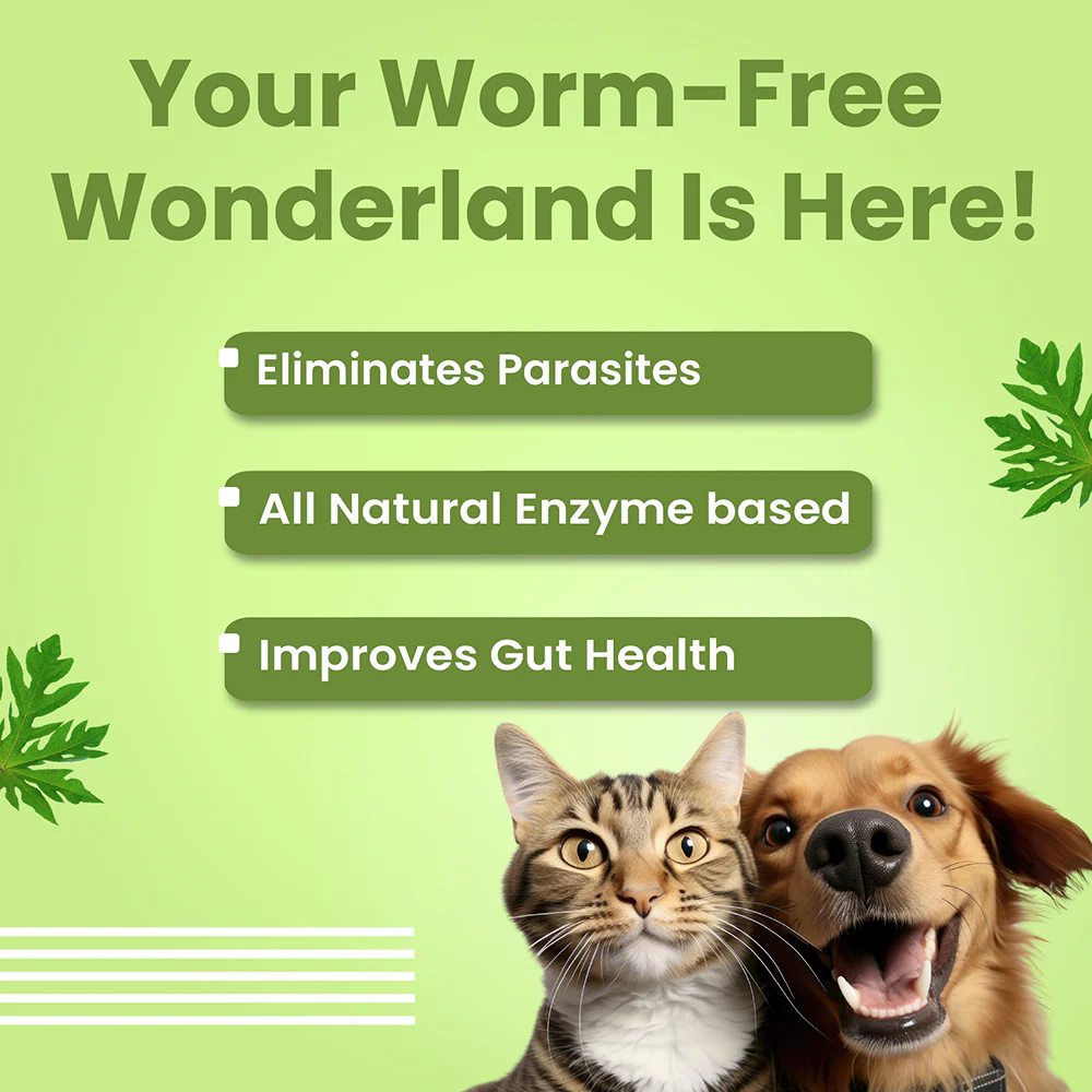 Bark Out Loud En Dewor Deworming Solution Tablets for Dogs and Cats - Image 2