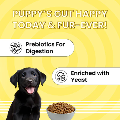 Bark Out Loud Essentials Real Chicken All Breed Puppy Dog Dry Food - Image 5