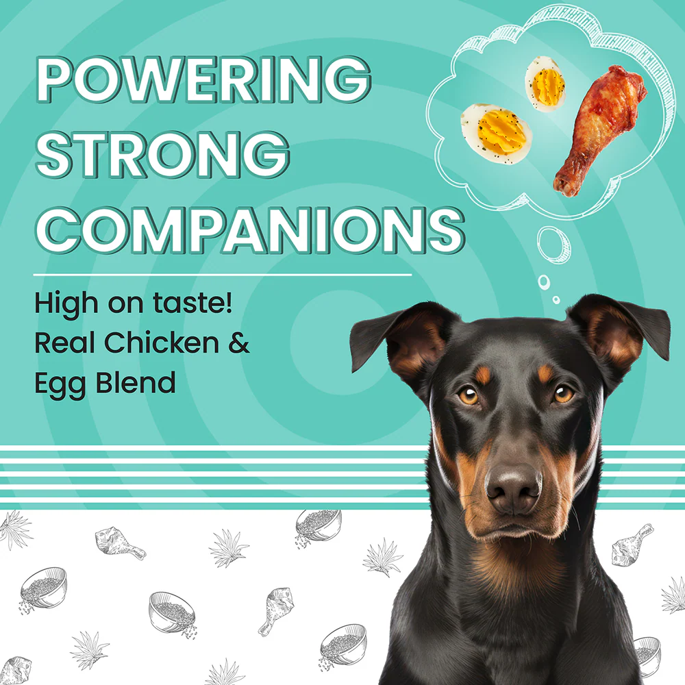 Bark Out Loud Essentials Real Chicken Medium and Large Breed Adult Dog Dry Food - Image 3