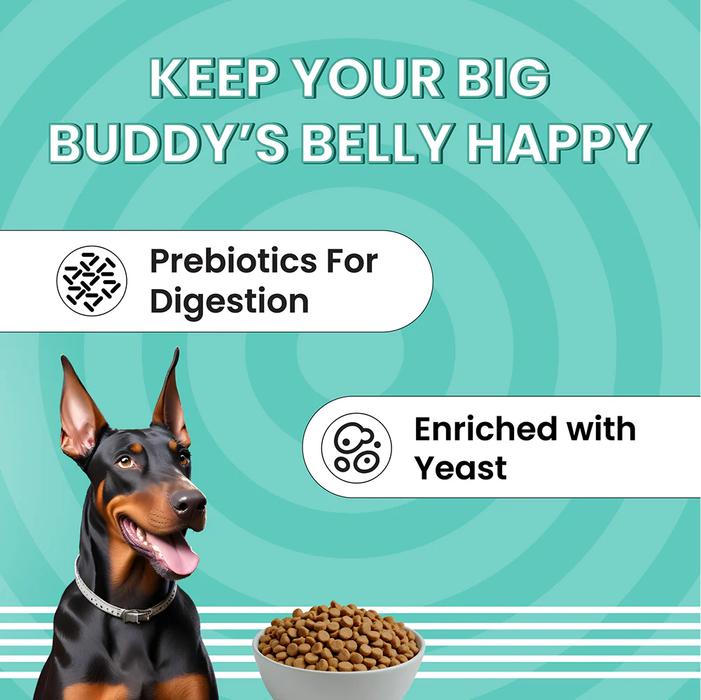 Bark Out Loud Essentials Real Chicken Medium and Large Breed Adult Dog Dry Food - Image 6