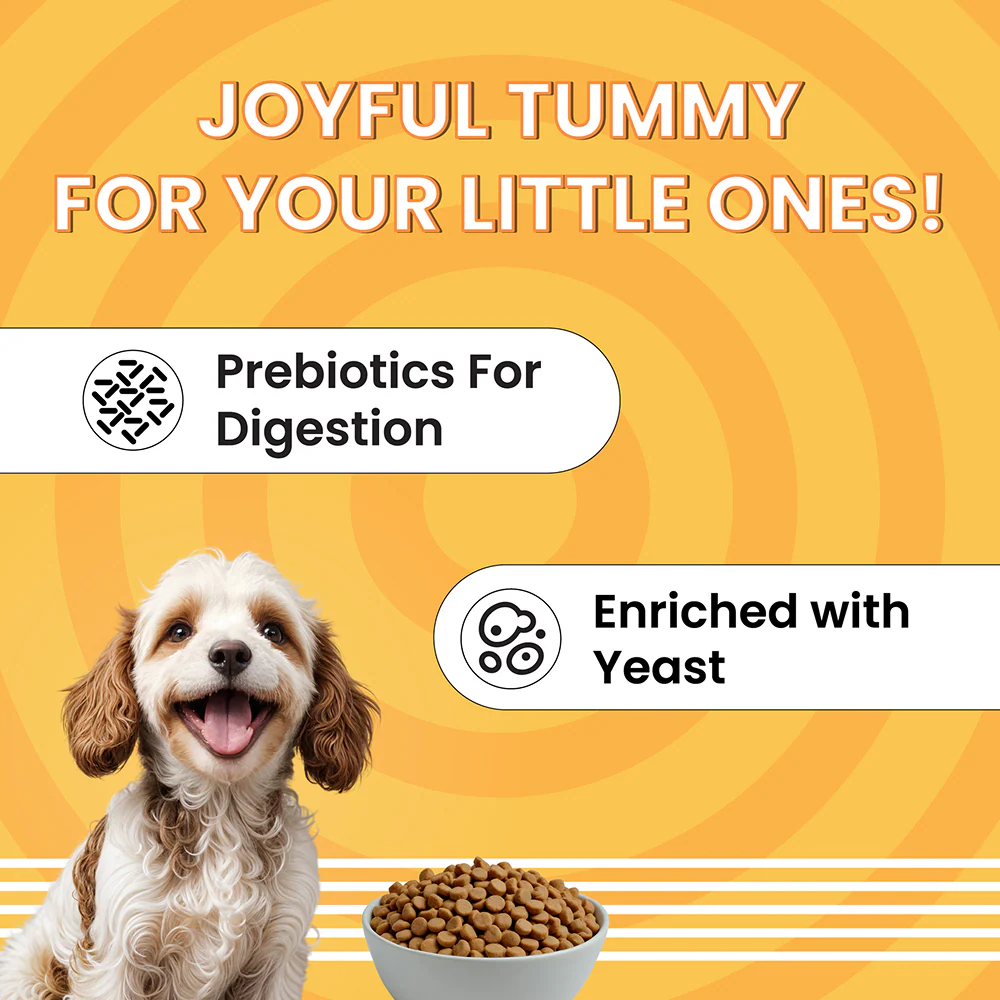 Bark Out Loud Essentials Real Chicken Mini and Small Breed Adult Dog Dry Food - Image 5