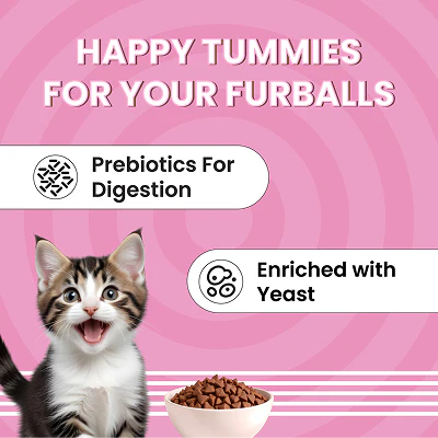 Bark Out Loud Essentials Real Fish Kitten Dry Food - Image 5