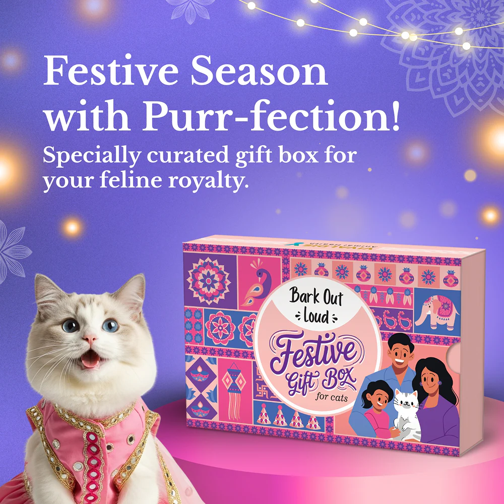 Bark Out Loud Festive Gift Box for Cats - Image 2