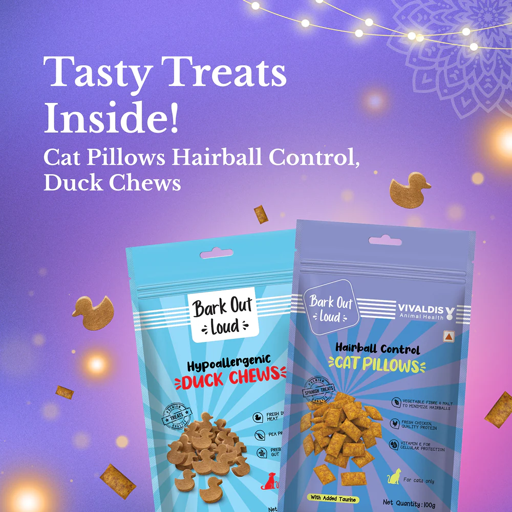Bark Out Loud Festive Gift Box for Cats - Image 3