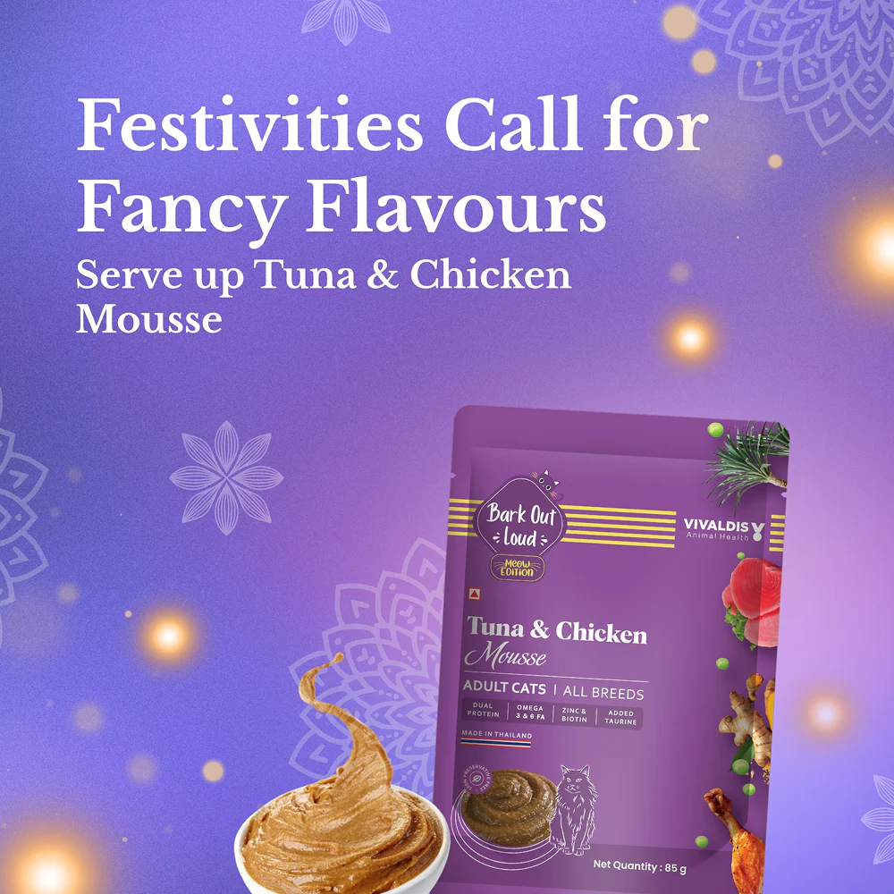 Bark Out Loud Festive Gift Box for Cats - Image 4
