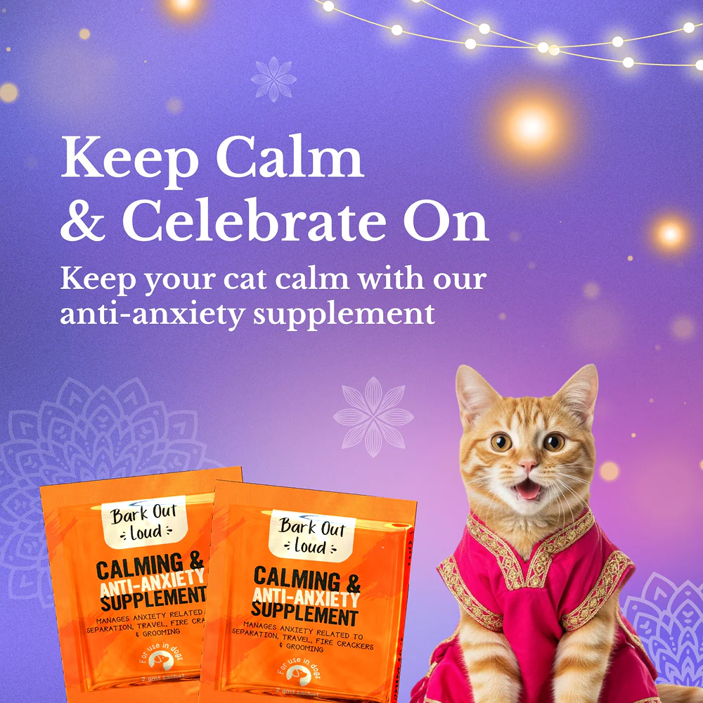 Bark Out Loud Festive Gift Box for Cats - Image 5