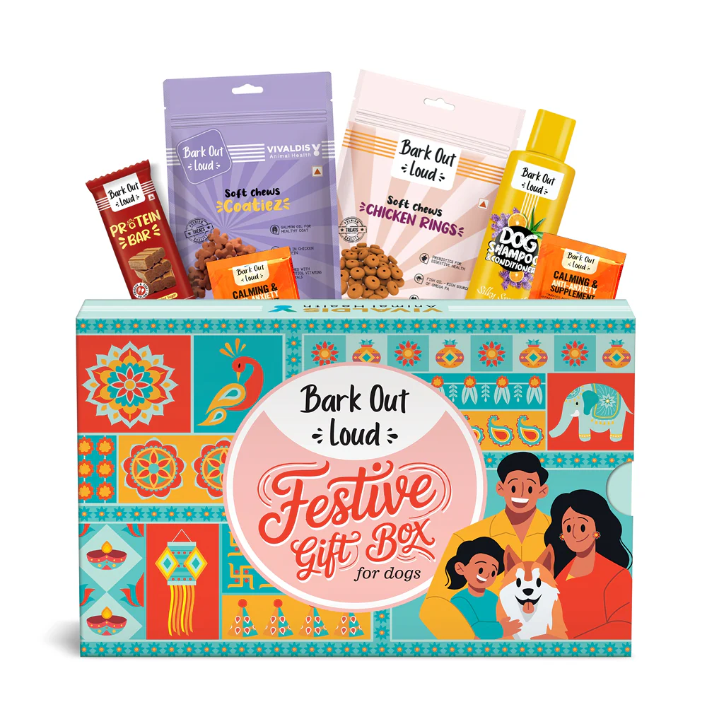 Bark Out Loud Festive Gift Box for Dogs