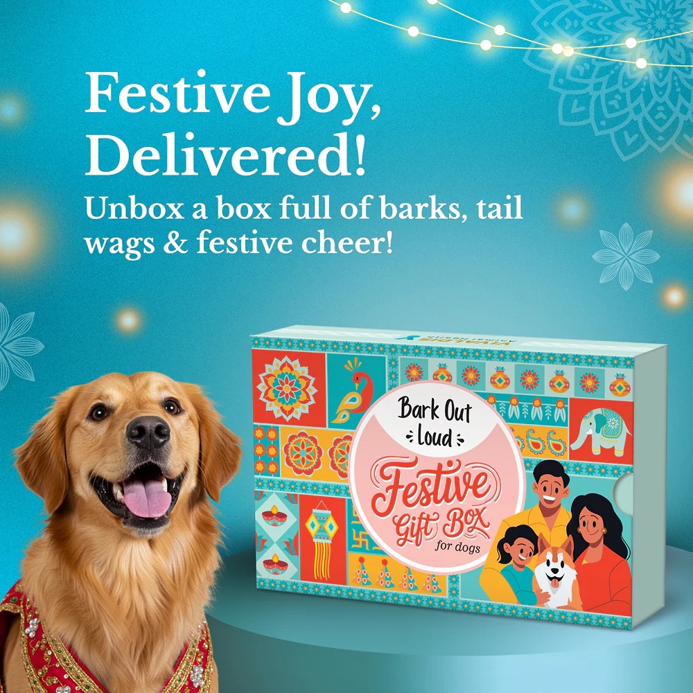 Bark Out Loud Festive Gift Box for Dogs - Image 2