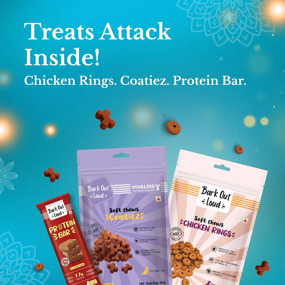 Bark Out Loud Festive Gift Box for Dogs - Image 3