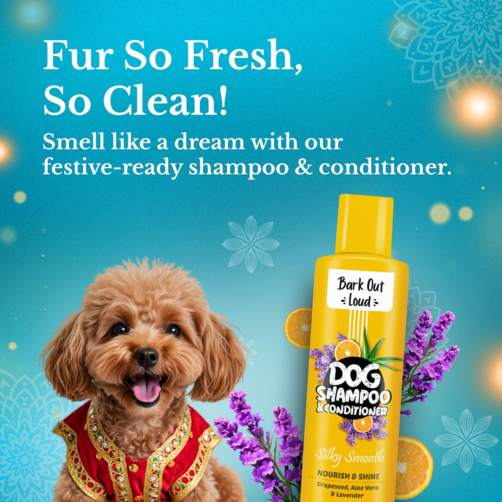 Bark Out Loud Festive Gift Box for Dogs - Image 4