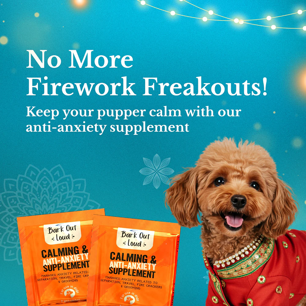 Bark Out Loud Festive Gift Box for Dogs - Image 5
